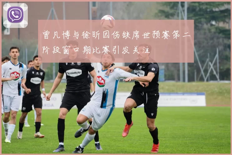 曾凡博与徐昕因伤缺席世预赛第二阶段窗口期比赛引发关注