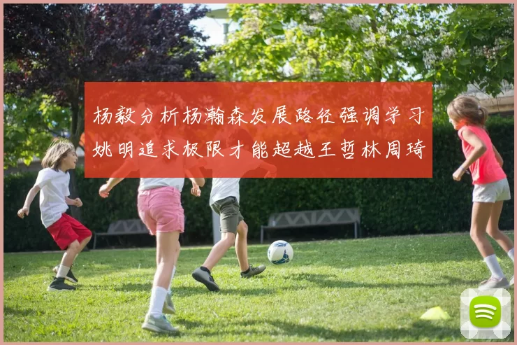 杨毅分析杨瀚森发展路径强调学习姚明追求极限才能超越王哲林周琦状态