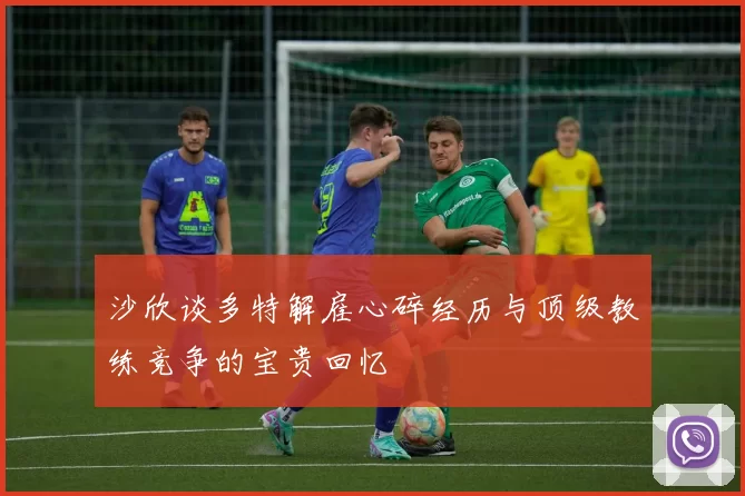 沙欣谈多特解雇心碎经历与顶级教练竞争的宝贵回忆
