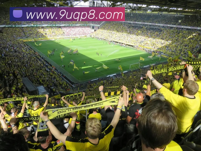 九游棋牌APP 高清赛事图